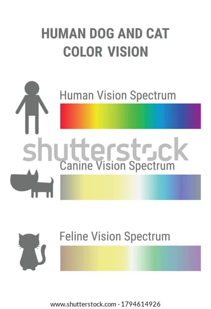 jak widzą koty? na jaki kolor widzą psy? wykres