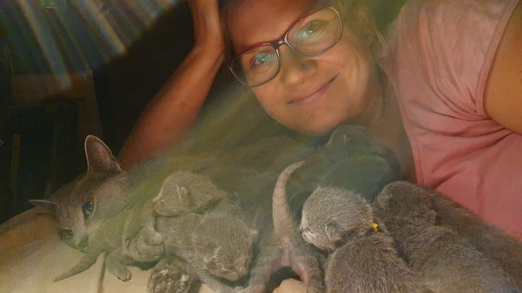 behawiorysta psi i koci, zdjęcie