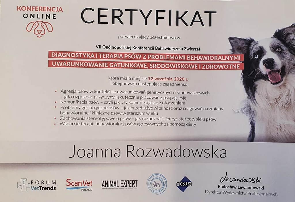 koci behawiorysta wrocław, dyplom