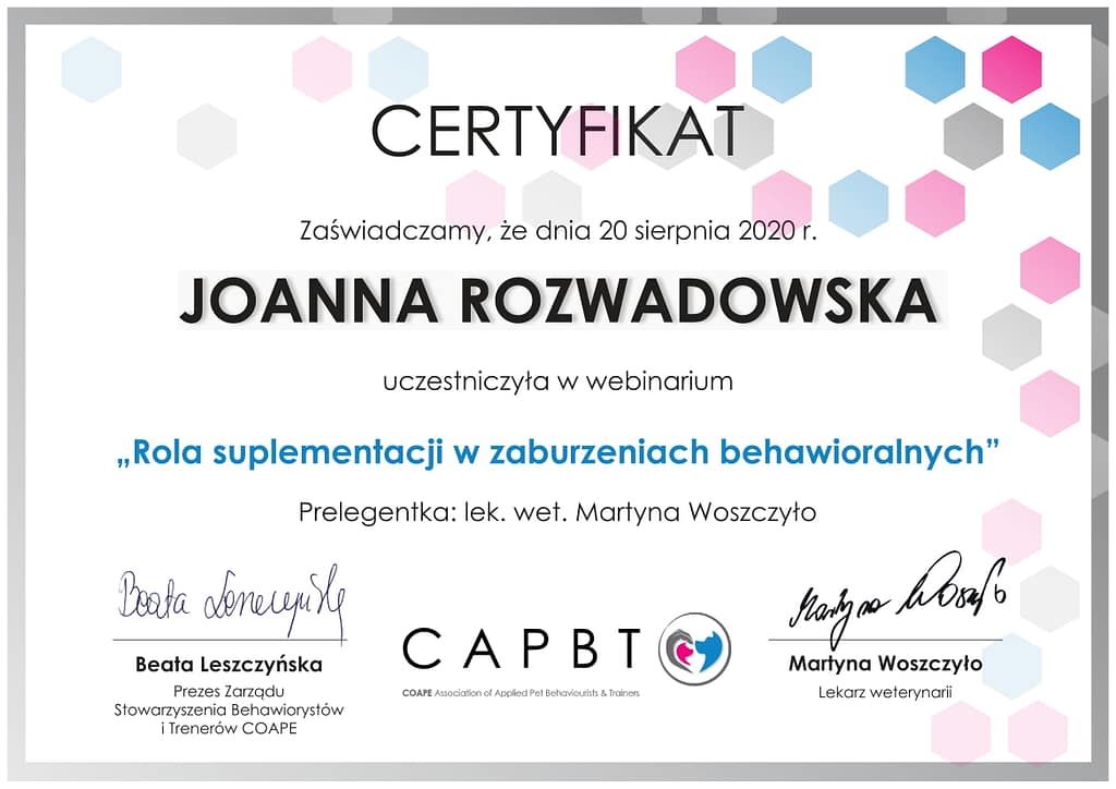 koci behawiorysta wrocław, dyplom