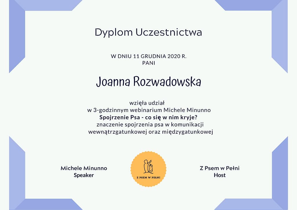 koci behawiorysta wrocław, dyplom