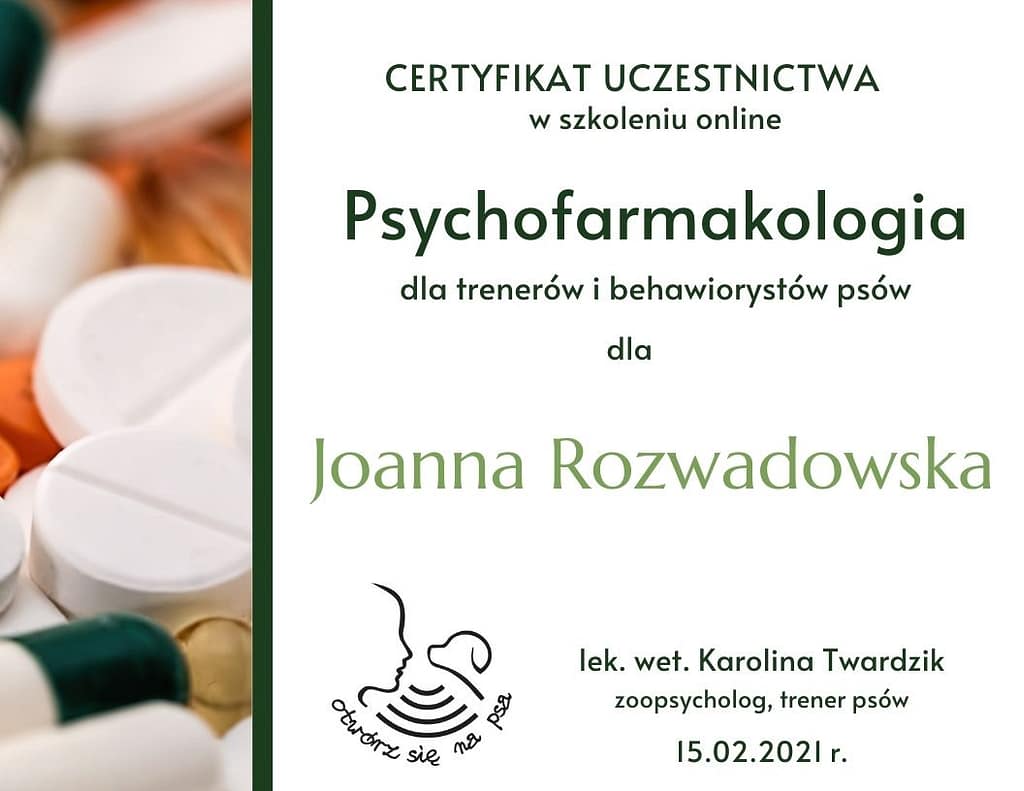 koci behawiorysta wrocław, dyplom