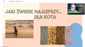 jaki żwirek dla kota, porady behawiorysty