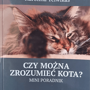 Czy można zrozumieć kota? Mini poradnik