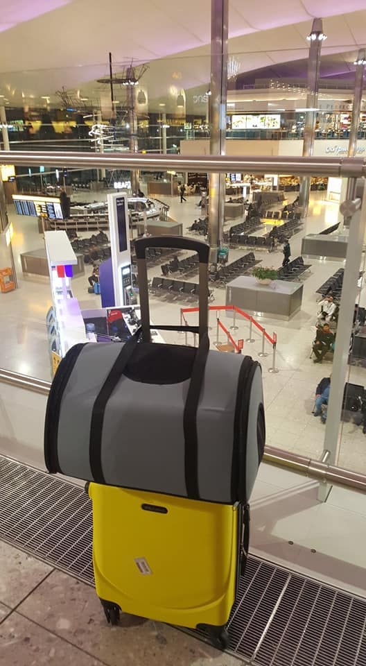 Joanna Rozwadowska, behawiorystka COAPE, zdjęcie z wyjazdu