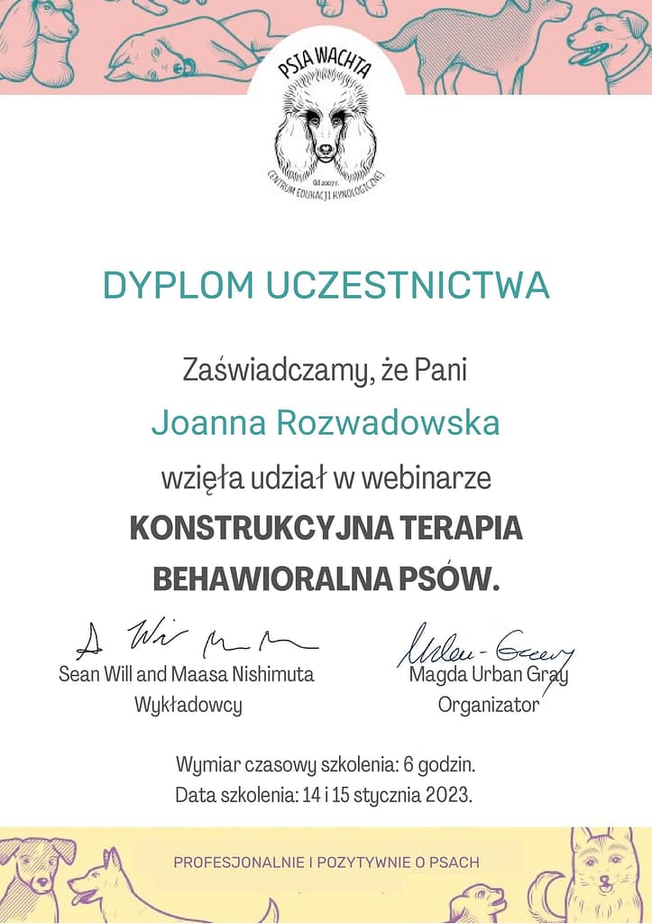 koci behawiorysta wrocław, dyplom