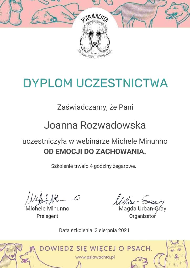 koci behawiorysta wrocław, dyplom