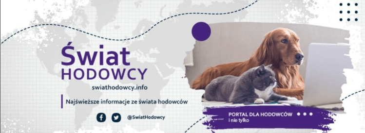 Portal o kotach,porady i artykuły o kotach