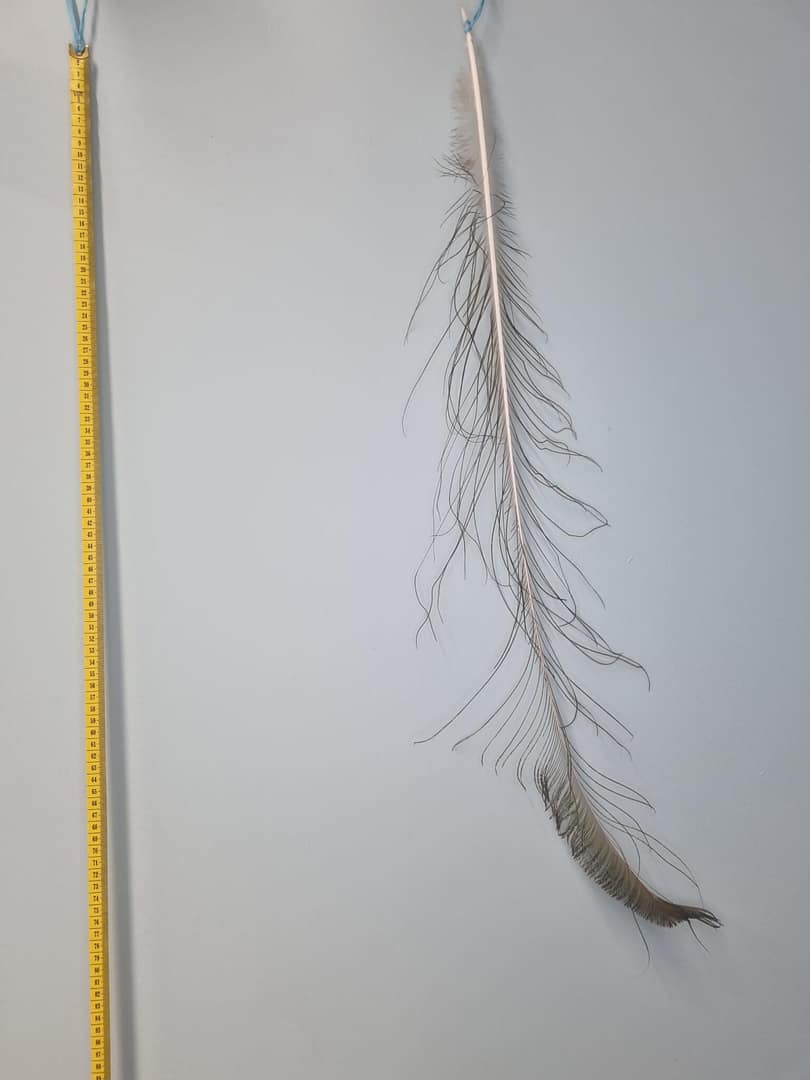 Falbanka - wędka dla kota rozmiar M - 1 sztuka - obrazek 5