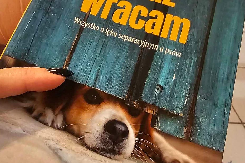 lęk separacyjny u psa, okładka książki trenerki psów Julie Naismith