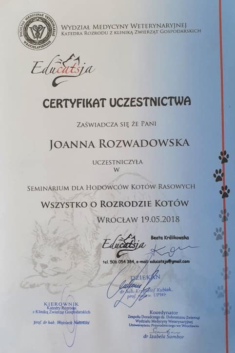 koci behawiorysta wrocław, dyplom