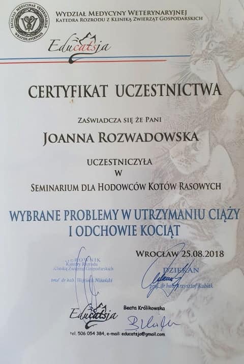 koci behawiorysta wrocław, dyplom