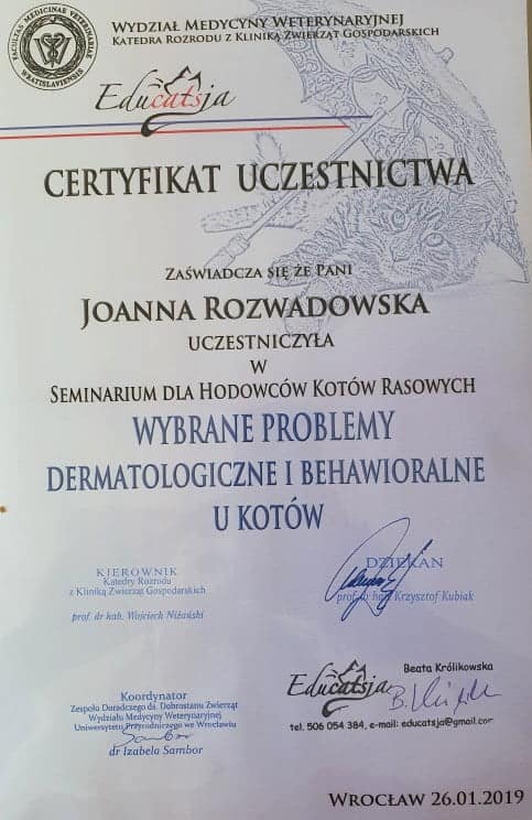 koci behawiorysta wrocław, dyplom