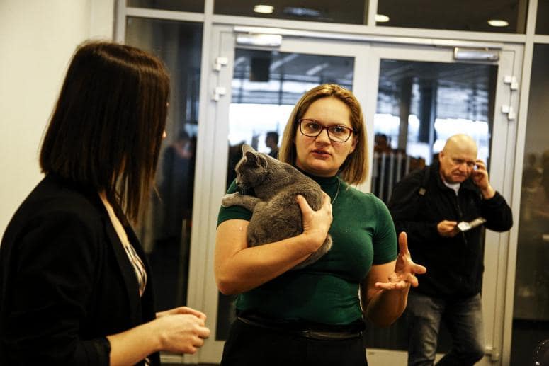 behawiorysta coape, wystąpienia