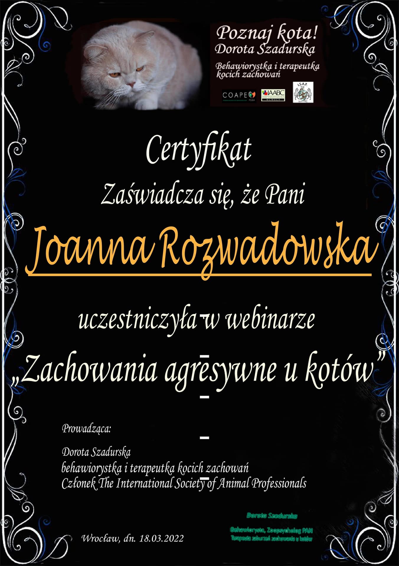 koci behawiorysta wrocław, dyplom