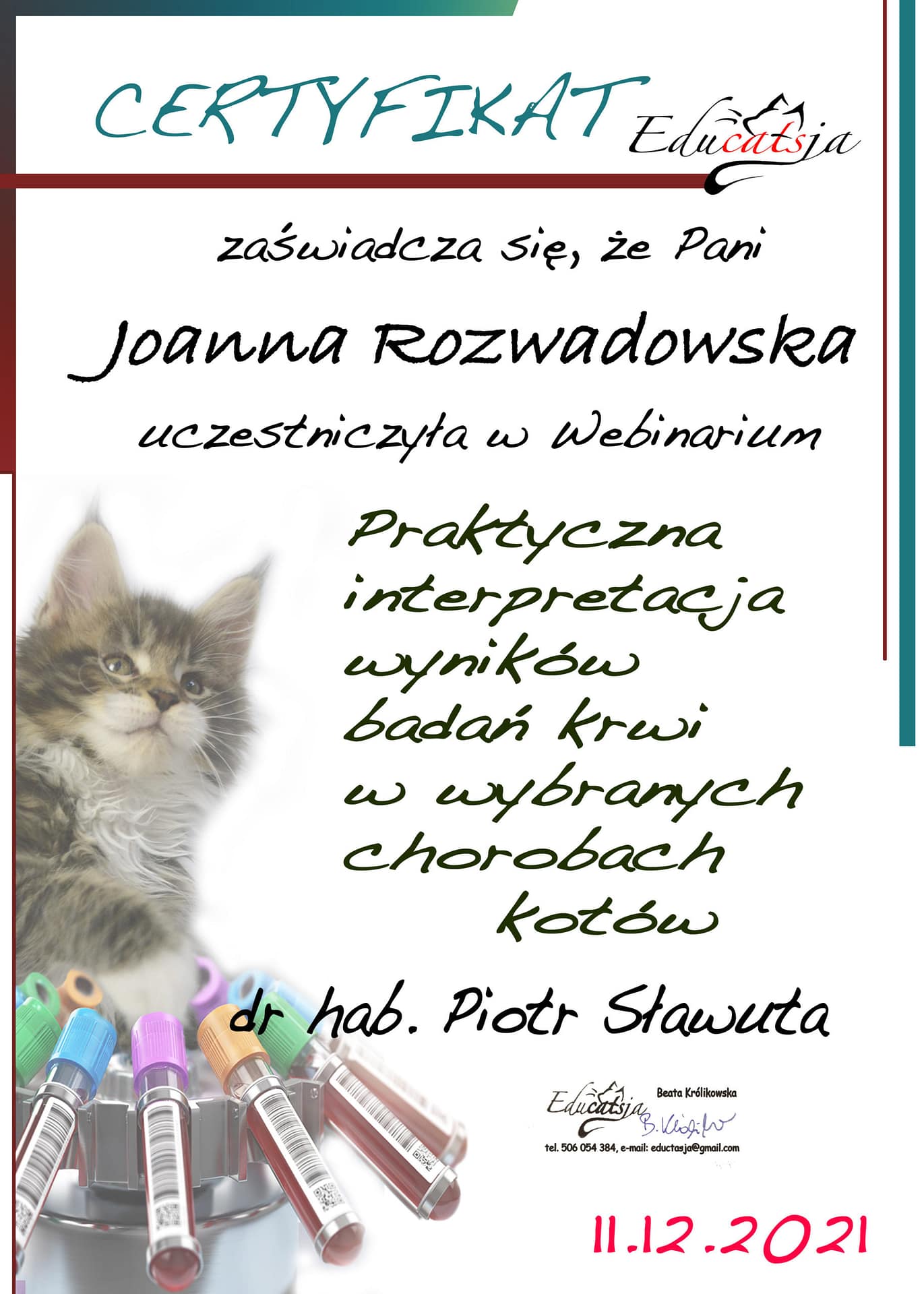 koci behawiorysta wrocław, dyplom